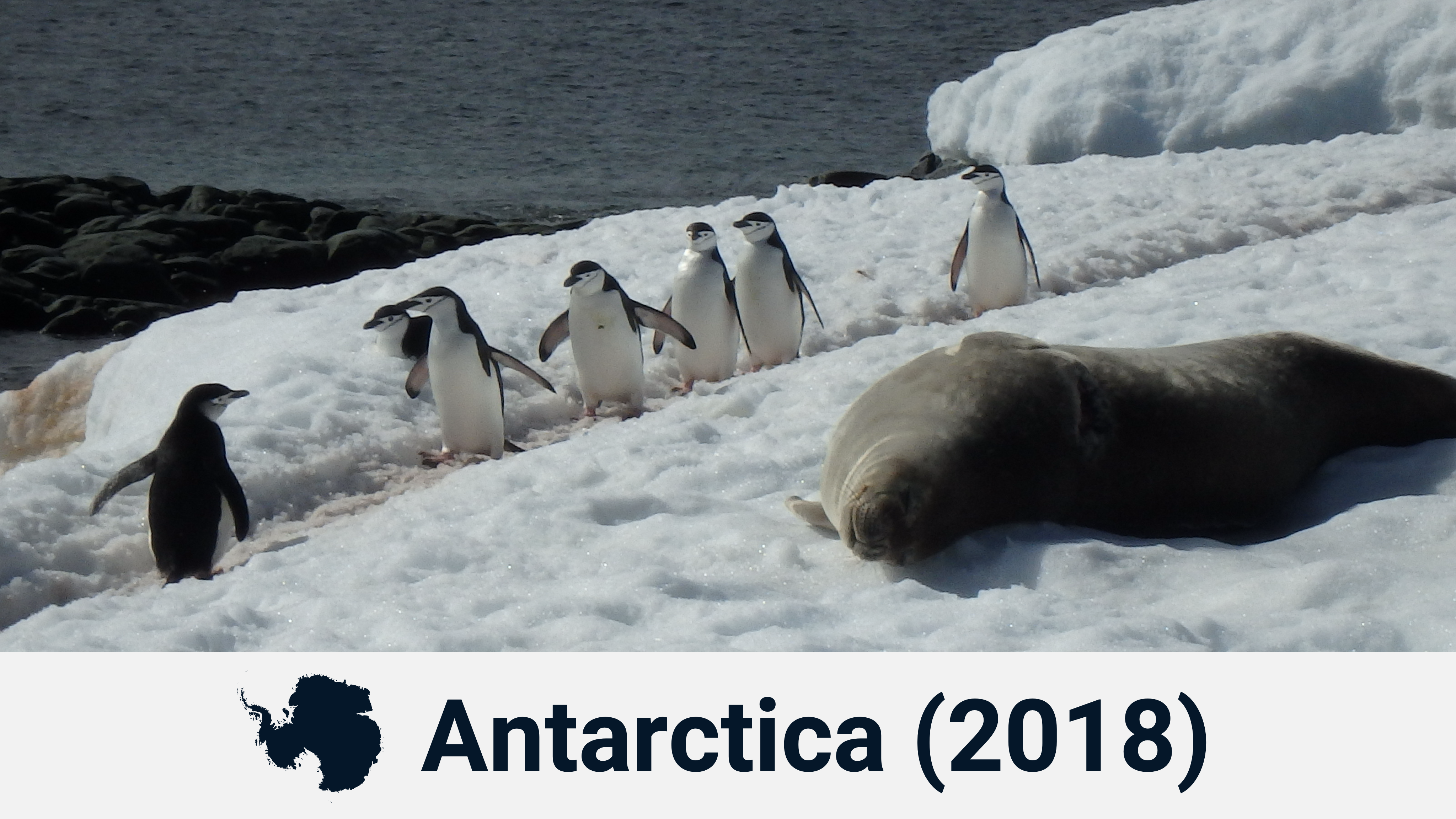 Antarctica 2018