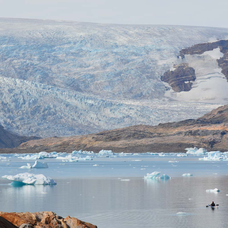 Greenland Cover