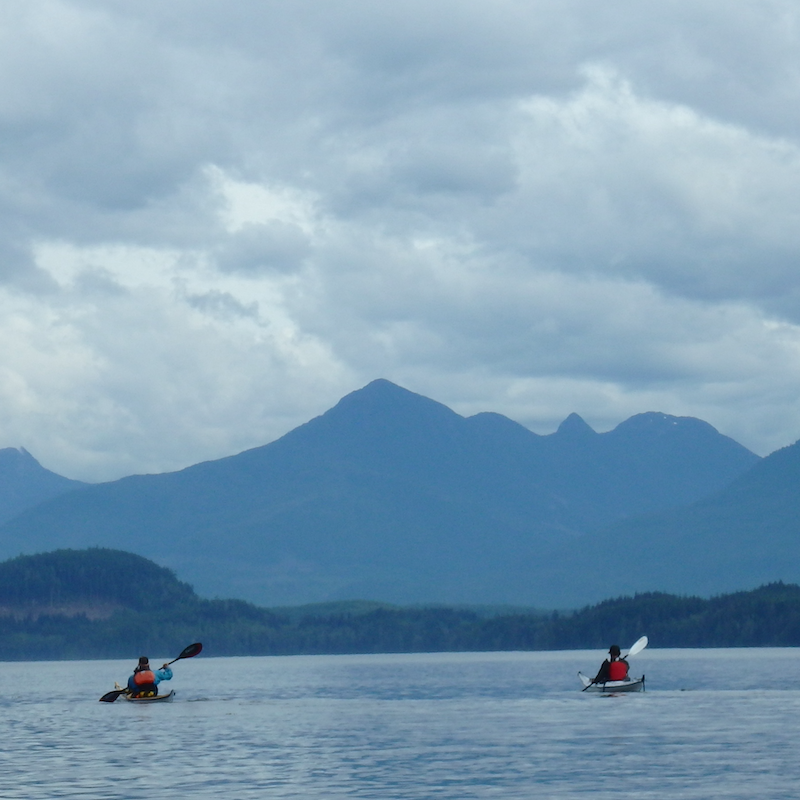 Kayaking in the Johnstone Strait, British Columbia (2022)